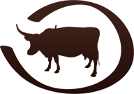 Cattle For Sale in Utah