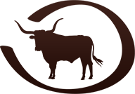 Longhorn Cattle For Sale